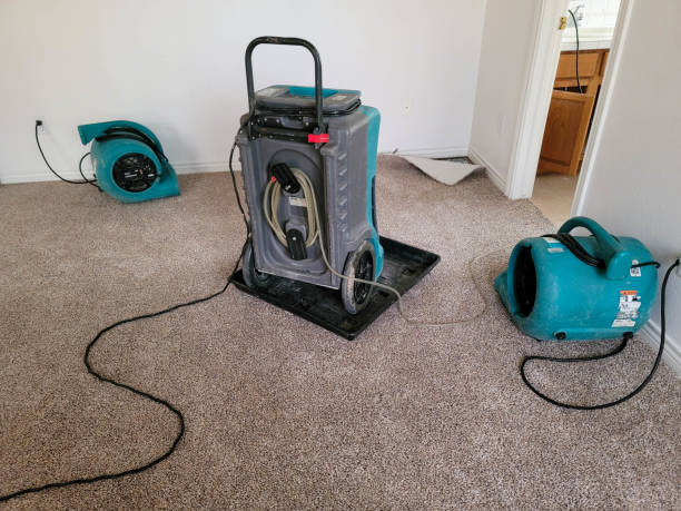 Best Basement water damage restoration  in Meadville, PA