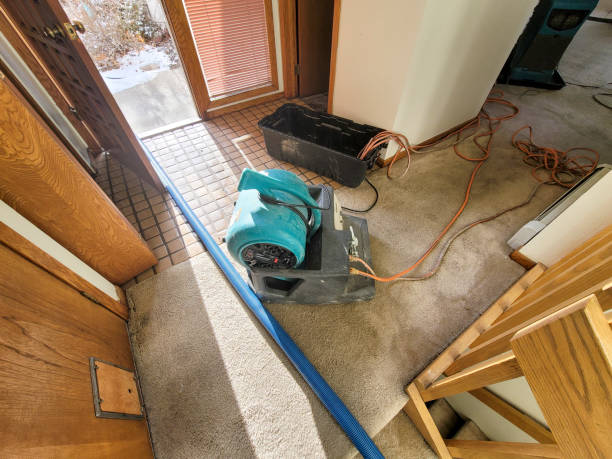 Best Flood restoration services  in Meadville, PA