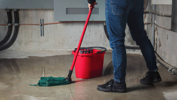 Best Local water damage restoration  in Meadville, PA