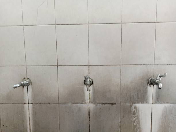  Meadville, PA Water damage restoration Pros