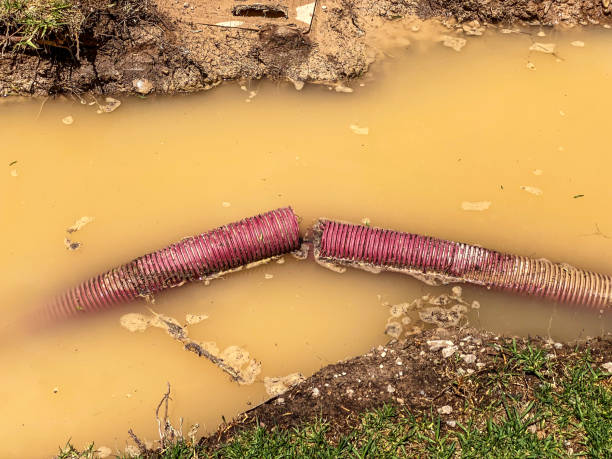 Best Mold removal after water damage  in Meadville, PA